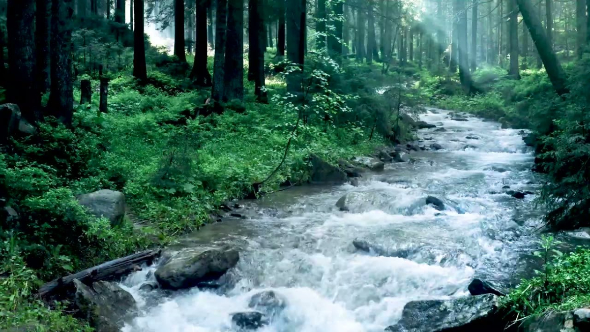 Are Your Rivers Flowing?