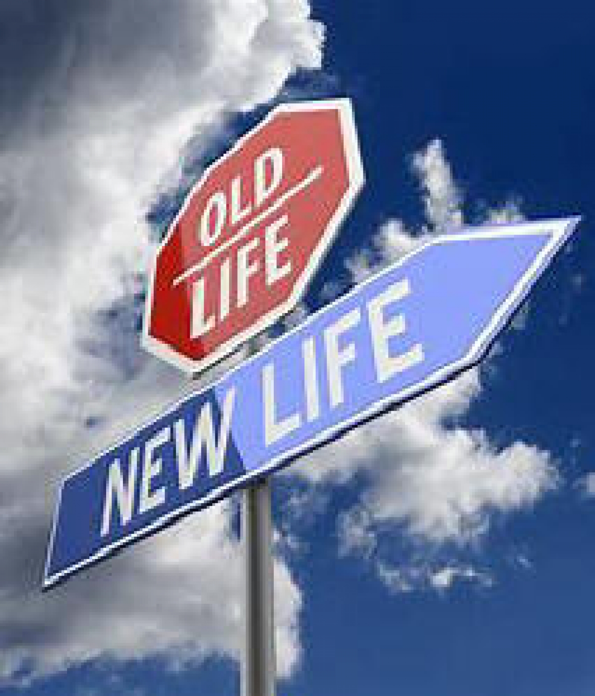 New Life, New Way